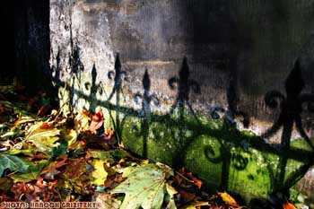 IMG_ (10520)